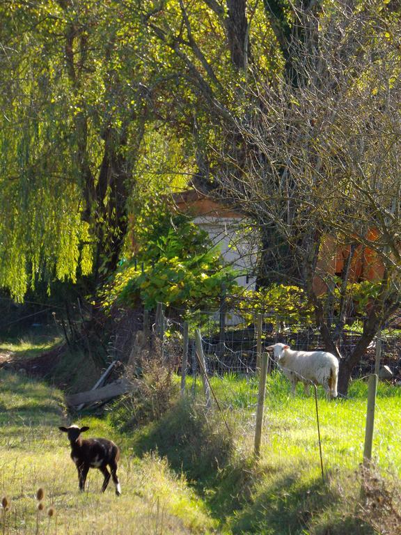 Chambres D'Hote Les Jardins De Prasserat Vallon-Pont-d'Arc Luaran gambar